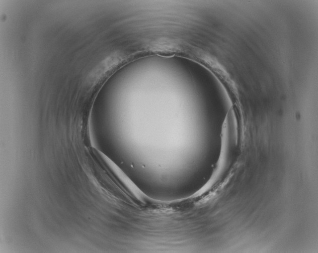 X0000066530201200603171224