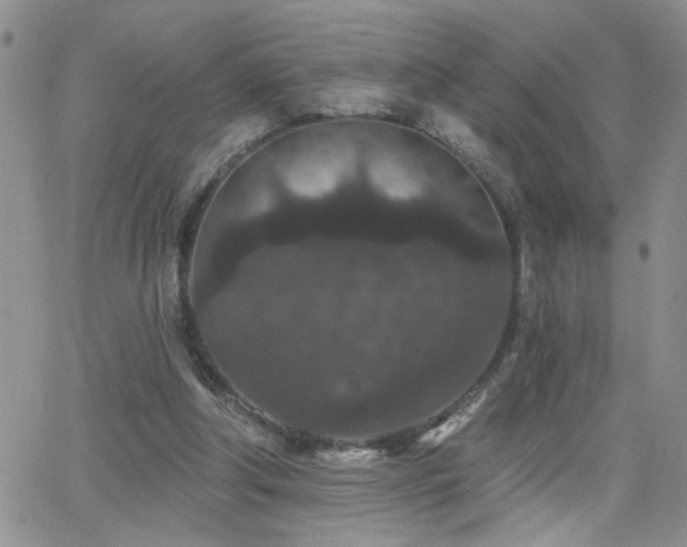 X0000066530202200603171224