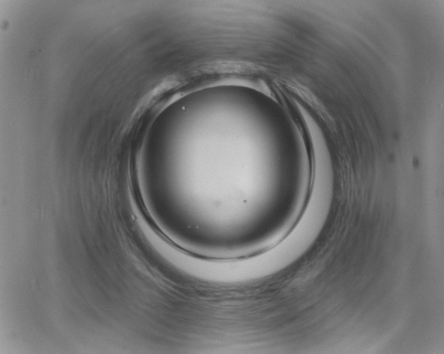 X0000066530207200603171224
