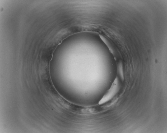 X0000066530225200603171224