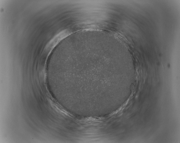 X0000066530290200603171223