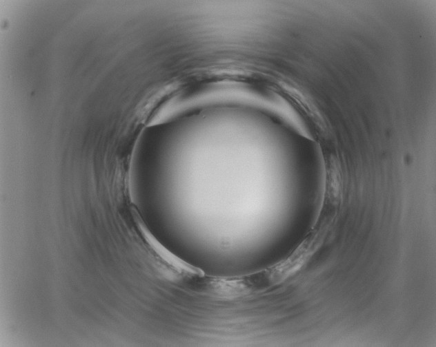 X0000066530333200603171222