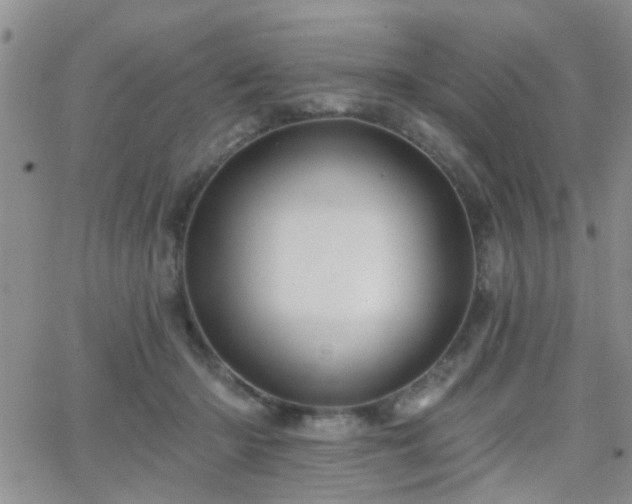X0000066530414200603171221