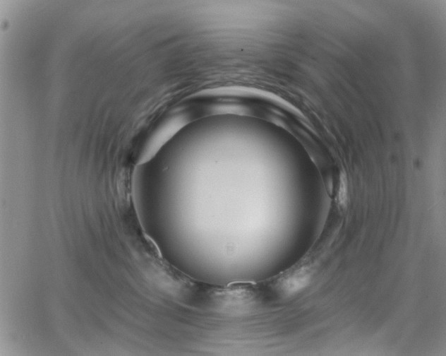 X0000066530428200603171220