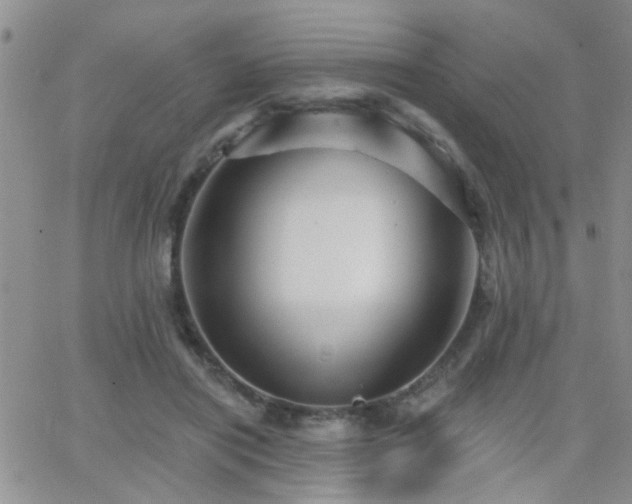 X0000066530454200603171220