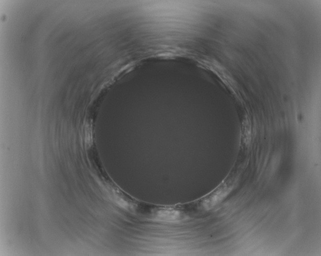 X0000066530471200603171220