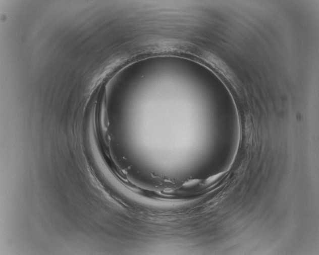 X0000066530485200603171219