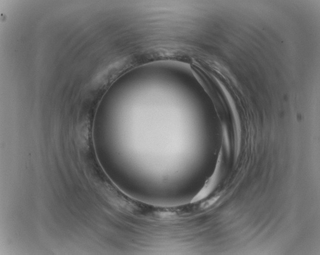 X0000066530509200603171219