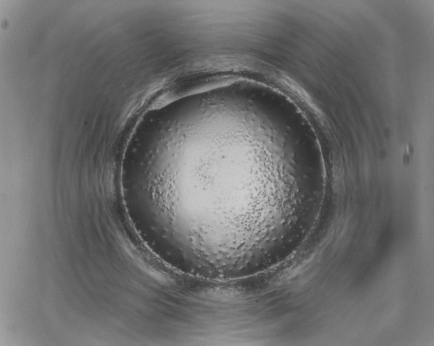 X0000066530537200603171218