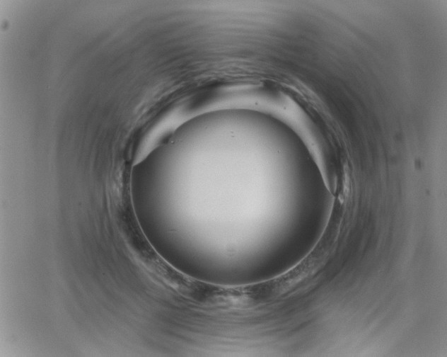 X0000066530552200603171218