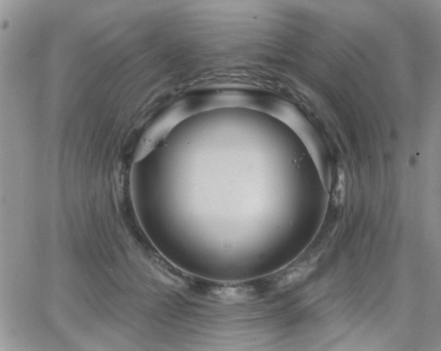 X0000066530558200603171218