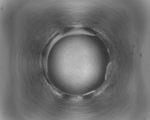 X0000066530576200603171219