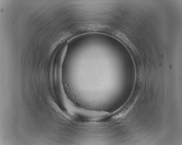 X0000066530585200603171218