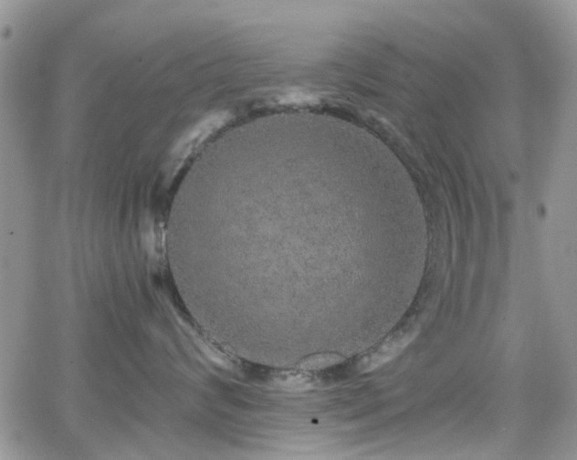 X0000066530624200603171217