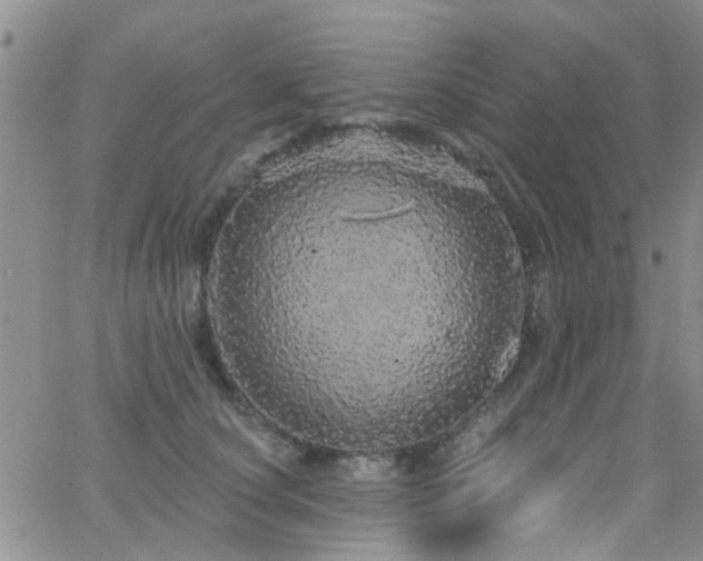 X0000066530660200603171217