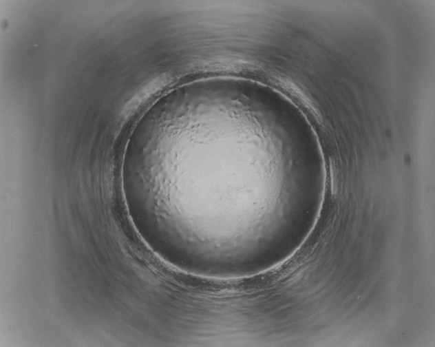 X0000066530675200603171216