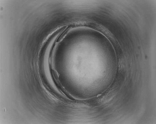X0000066530722200603171215