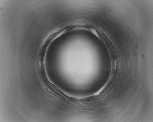 X0000066530731200603171215