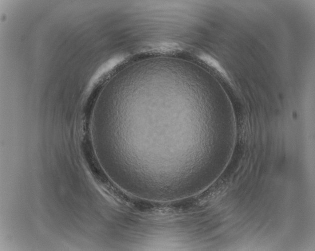 X0000066530736200603171215