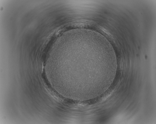 X0000066530737200603171215