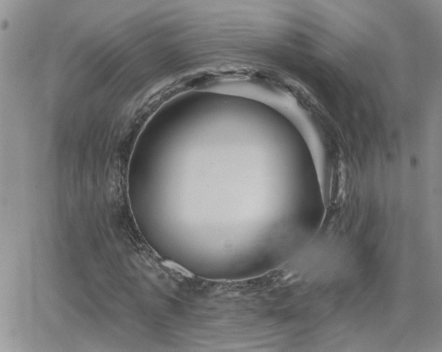 X0000066530773200603171215