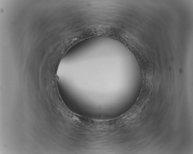 X0000066530865200603171213