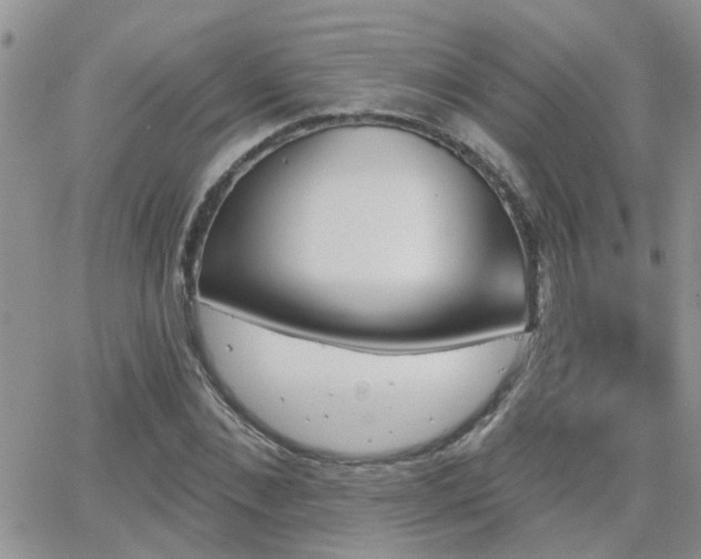 X0000066530876200603171213