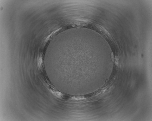 X0000066530915200603171212