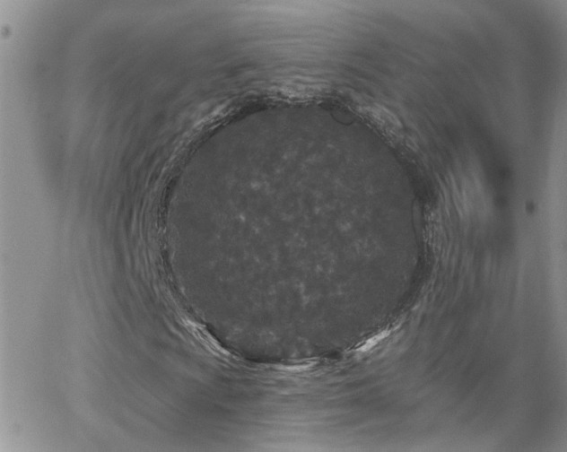 X0000066531009200603171210
