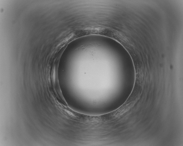 X0000066531058200603171210