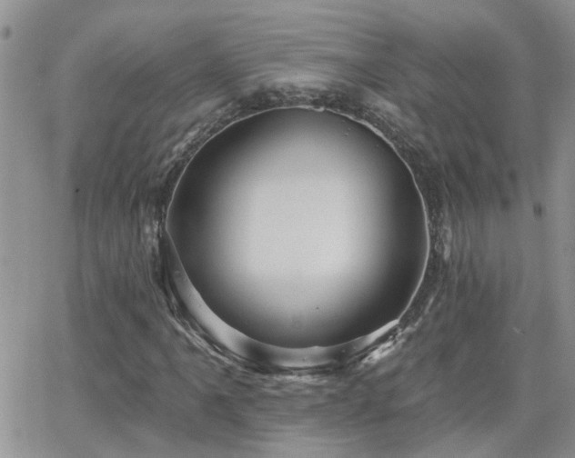 X0000066531061200603171210