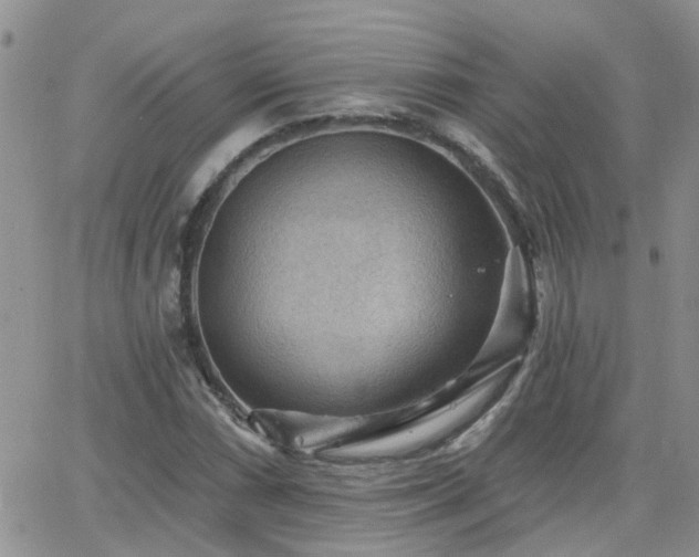 X0000066531066200603171210