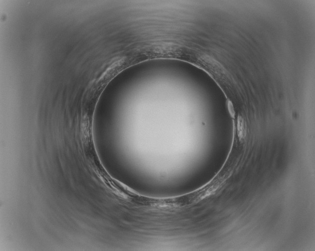 X0000066531107200603171208