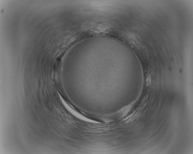 X0000066531156200603171208