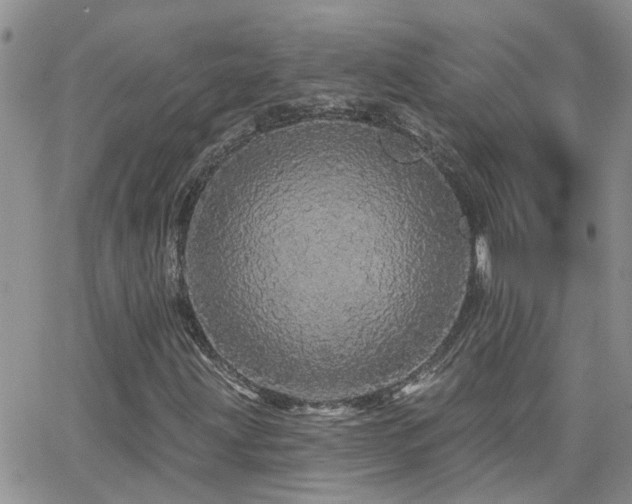 X0000066531203200603171207