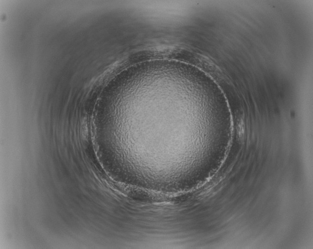 X0000066531204200603171207