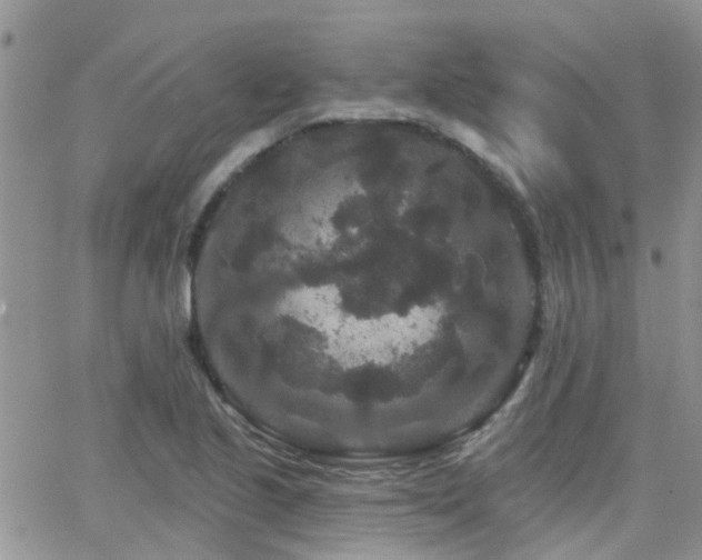 X0000066531221200603171207