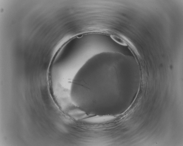 X0000066531291200603171206