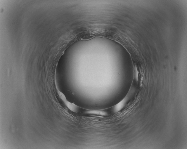 X0000066531345200603171205