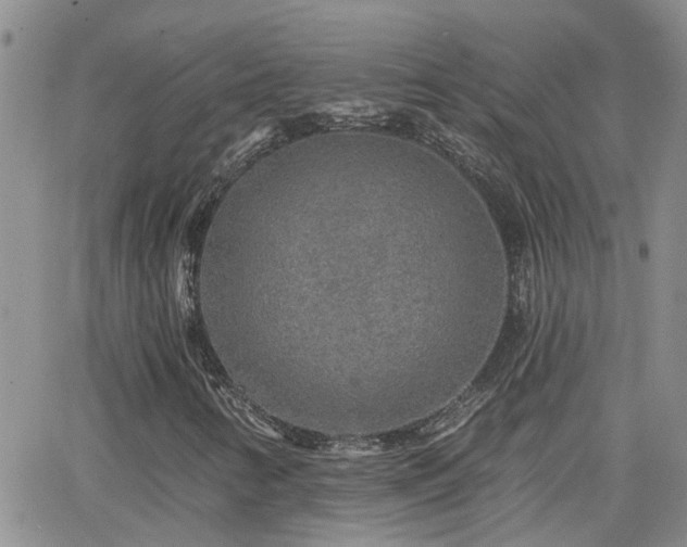 X0000066531346200603171205