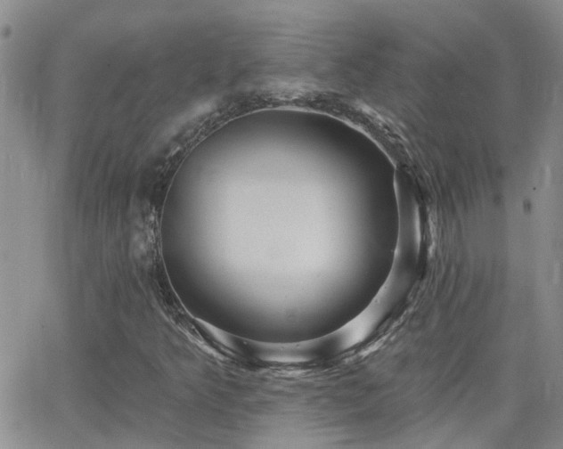 X0000066531349200603171205