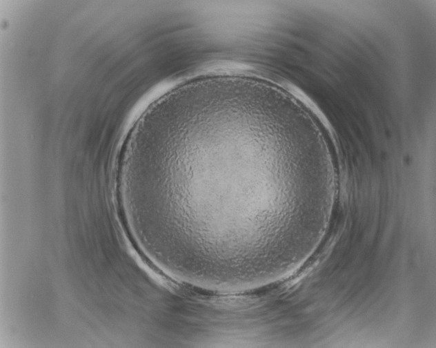 X0000066531437200603171204