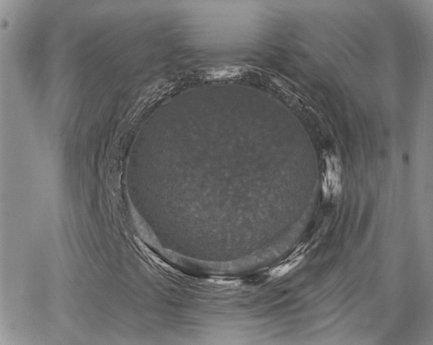 X0000066531441200603171204