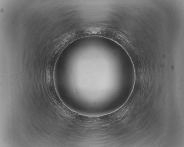 X0000066531442200603171204