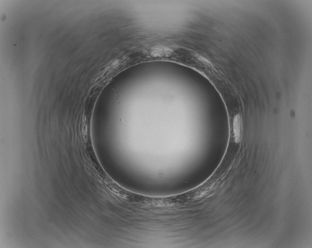 X0000066531443200603171204