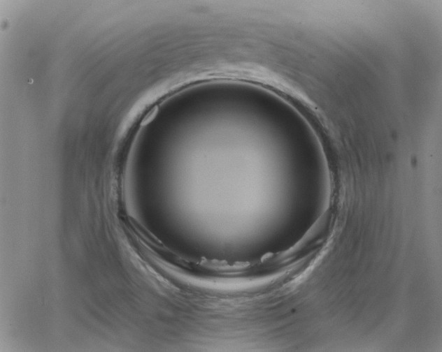 X0000066531506200603171202