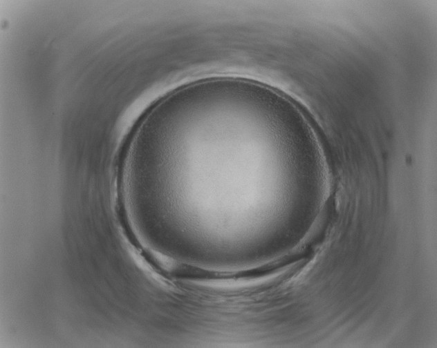 X0000066531511200603171202