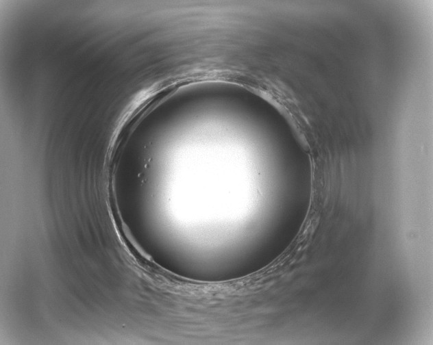 X0000066530003200603201412