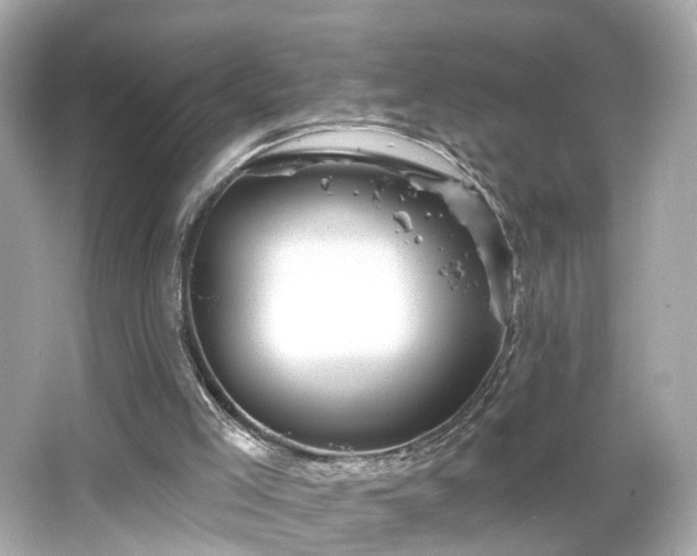 X0000066530005200603201412