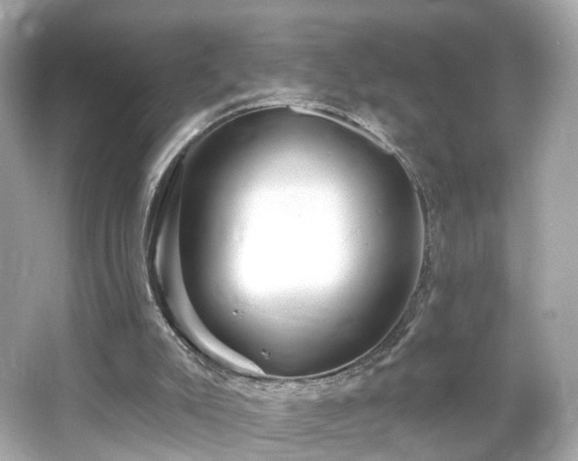 X0000066530007200603201412